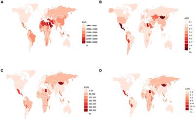 Changes in the global, regional, and national burdens of NAFLD from 1990 to 2019: A systematic analysis of the global burden of disease study 2019